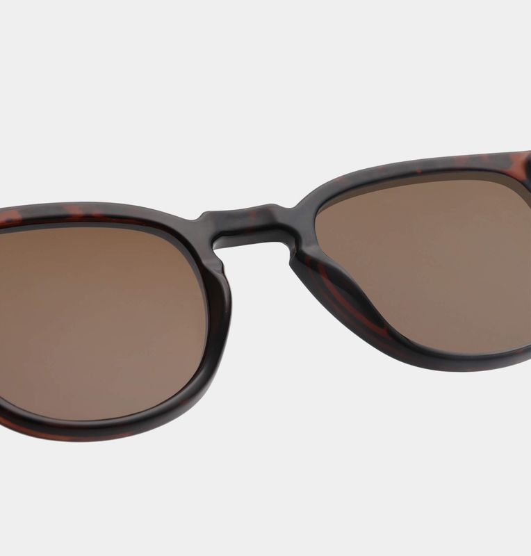  Bate –Demi Tortoise